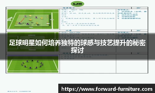 足球明星如何培养独特的球感与技艺提升的秘密探讨