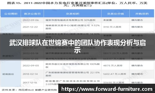 武汉排球队在世锦赛中的团队协作表现分析与启示